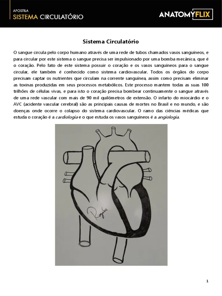 Organização E Funções Do Sistema Circulatório Humano | PDF | Coração | Sistema Circulatório