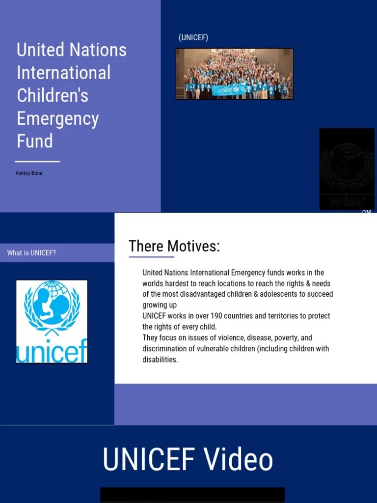 Ngo Presentation | PDF