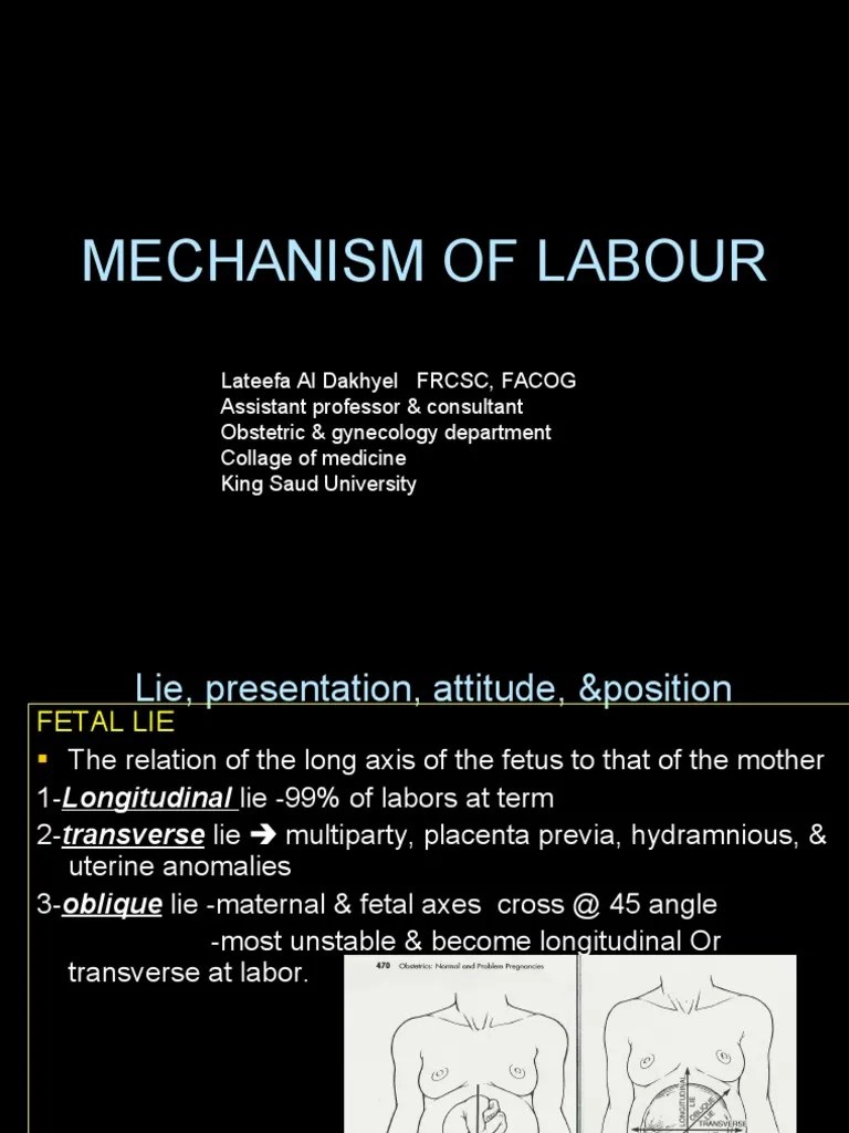 Mechanism Of Labor | PDF | Pelvis | Childbirth