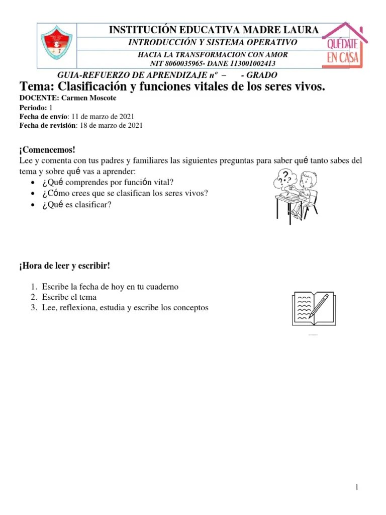 Guia 2 Clasificación Y Funciones Vitales De Los Seres Vivos | PDF | Aprendizaje | Educación Avanzada