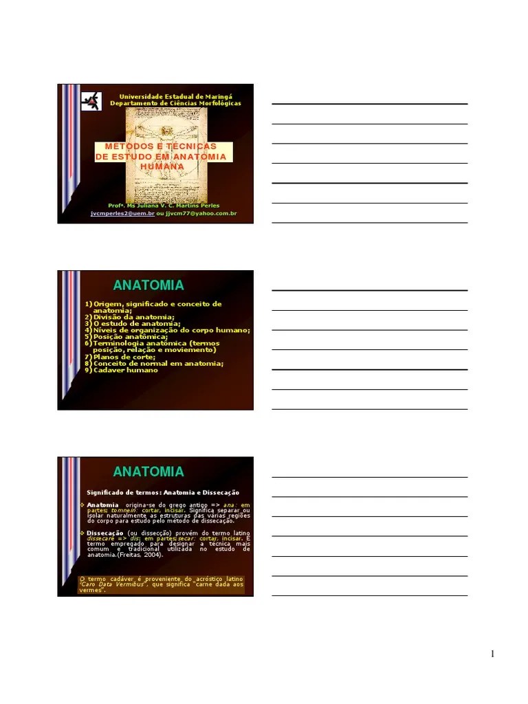 Anatomia Geral PDF | PDF | Anatomia | Sistema Digestivo Humano