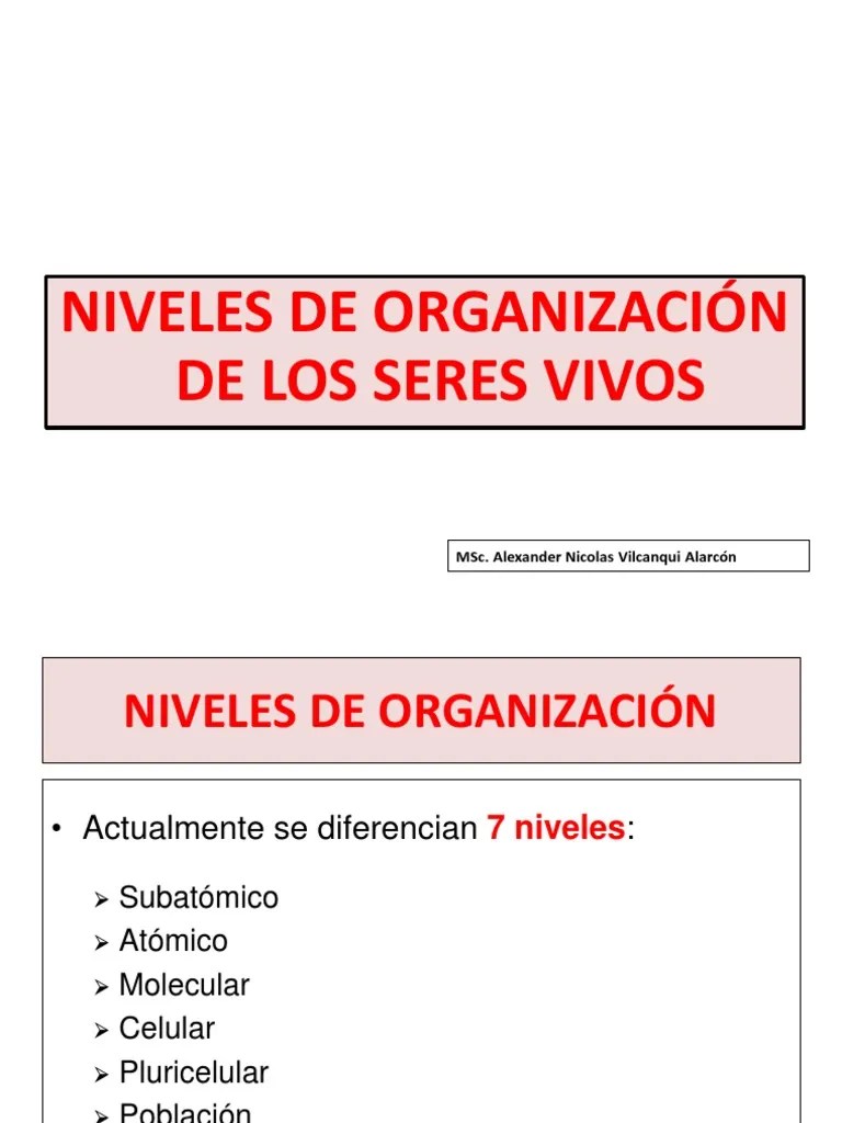 Niveles De Organizacion De Los Seres Vivos | PDF | Algas | Organismos
