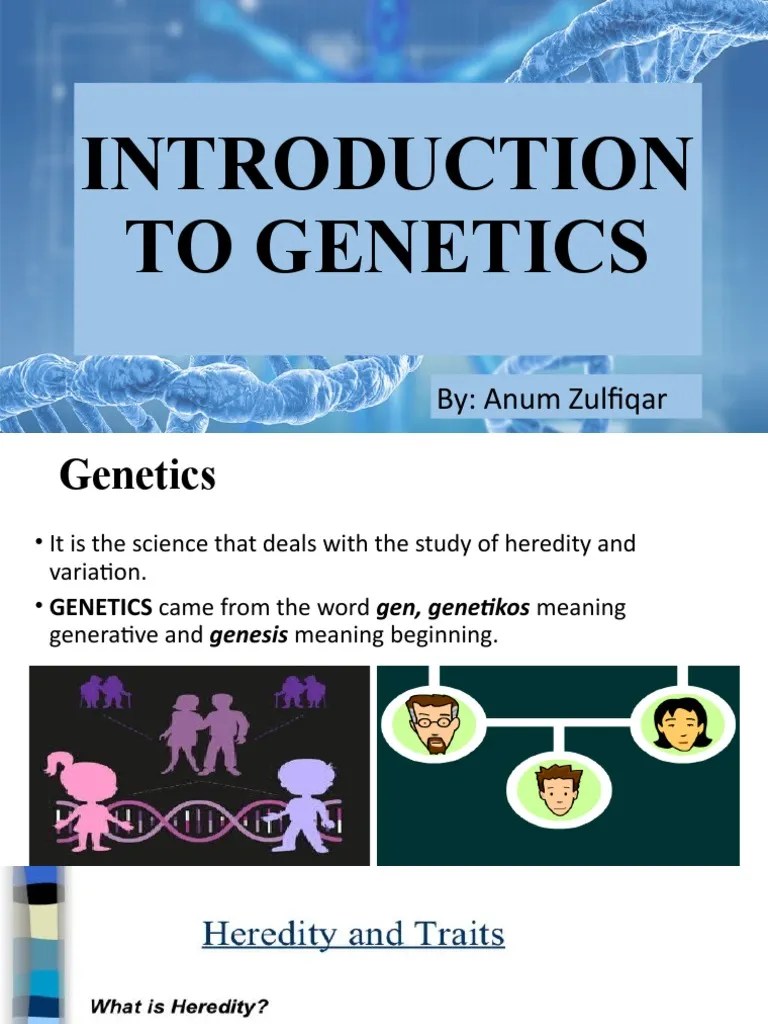 Introduction To Genetics | PDF