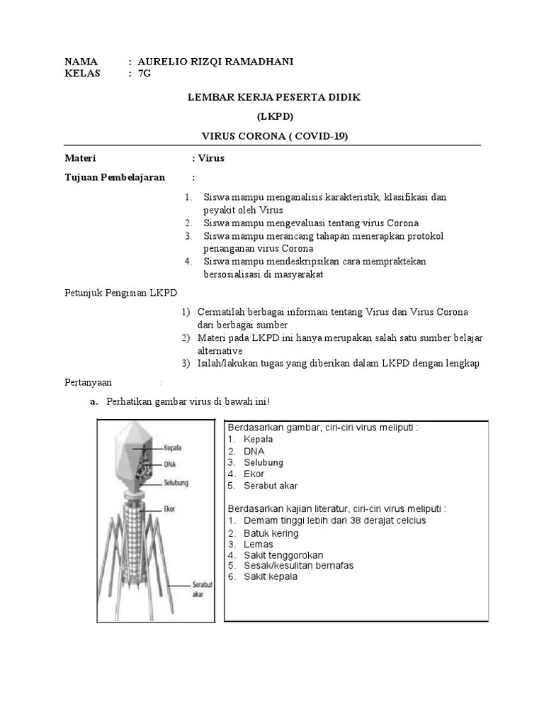 Alat gerak berupa kaki dan ekor tidak memiliki daun telinga. Ipa Covid Pdf