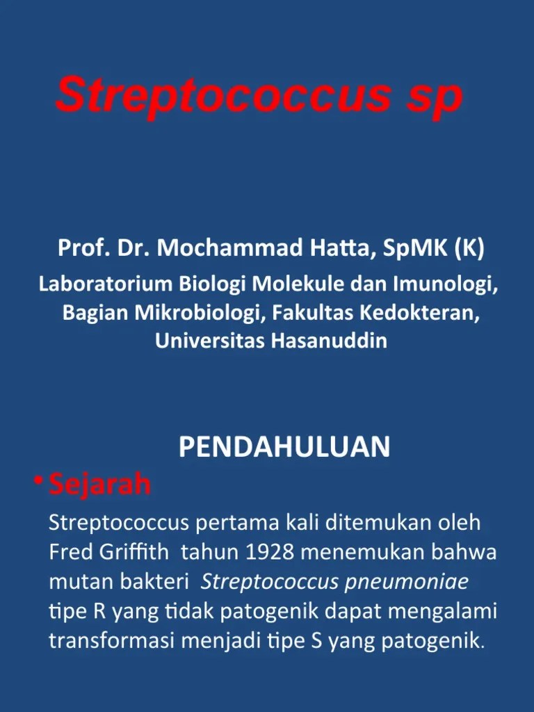 STRATEGI PENGOBATAN INFEKSI STREPTOCOCCUS PYOGENES | PDF