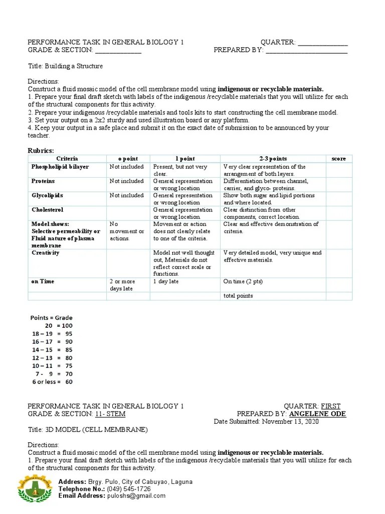 Performance Task 3d Model | PDF | Cell Membrane | Biotechnology