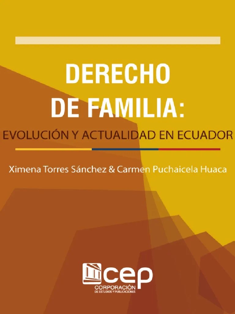 Libro - Derecho De Familia | PDF | Familia | Matrimonio