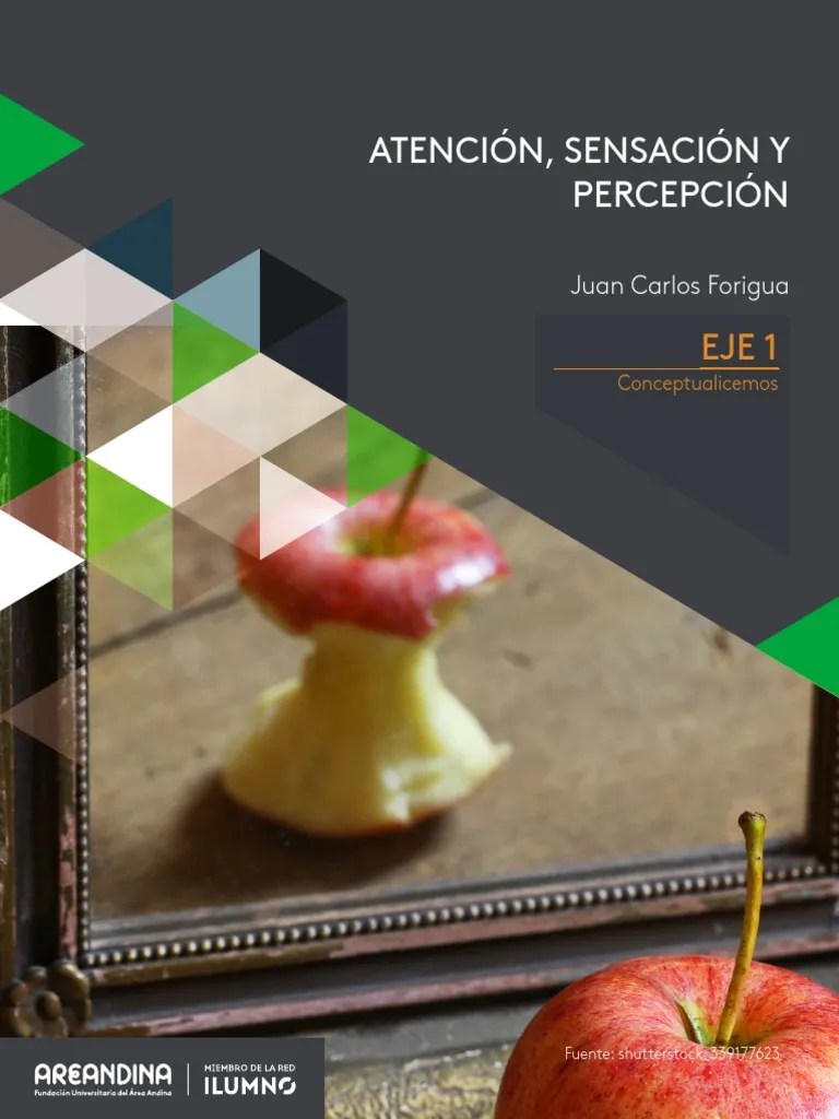 Atención, Sensación Y Percepción-6-11 | PDF | Percepción | Color