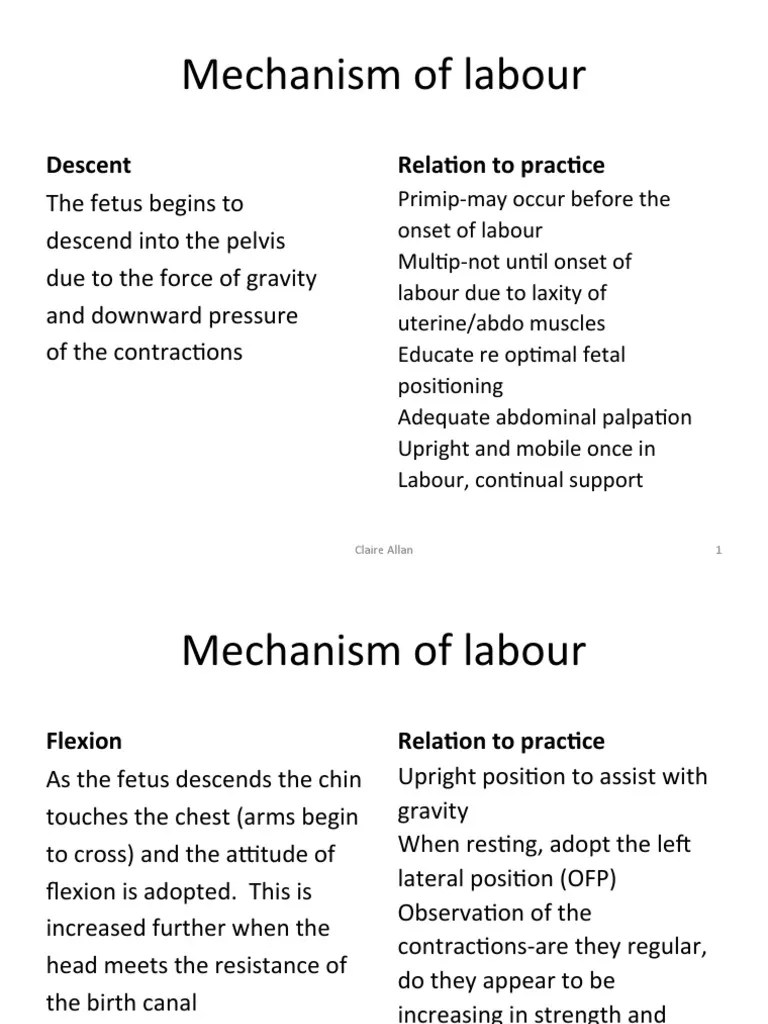 Mechanism Of Labour - Claire Allan | PDF | Anatomical Terms Of Motion | Pelvis