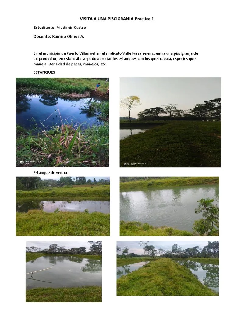 Practica 1-Piscicultura | PDF