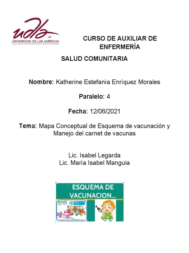 Mapa Conceptual Sobre Esquema De Vacunacion | PDF | Vacunas | Enfermedades Animales
