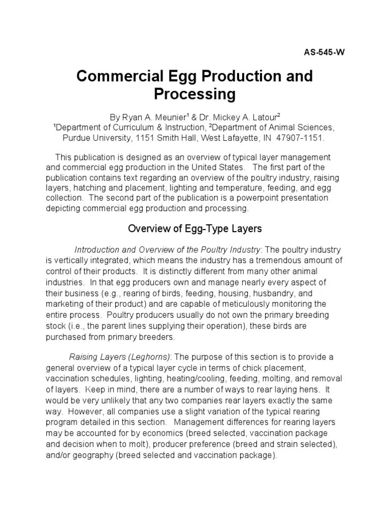 Commercial Egg Production And Processing: Overview Of Egg-Type Layers | PDF | Egg As Food | Chicken