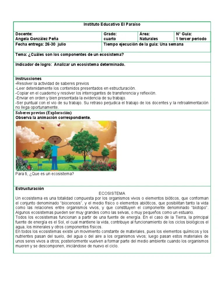 Guia 1 Naturales Tercer Periodo | PDF | Ecosistema | Organismos