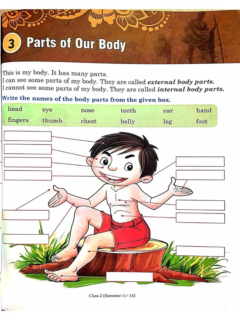 Class 2 Evs Chapter 3 | PDF