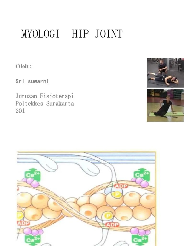 OTOT HIP JOINT | PDF