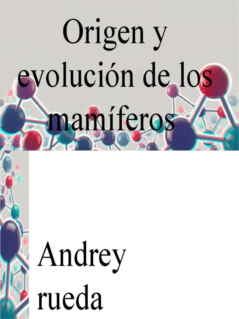 Evolucion De Los Mamiferos | PDF | Mamíferos