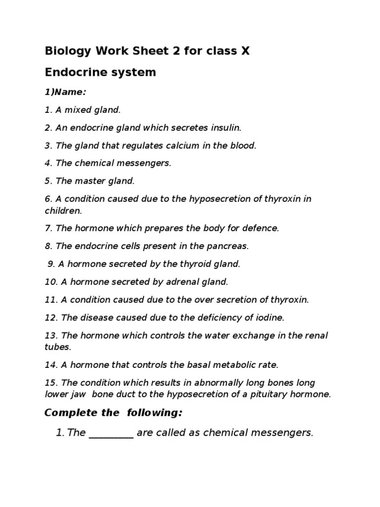 Endocrine system worksheet