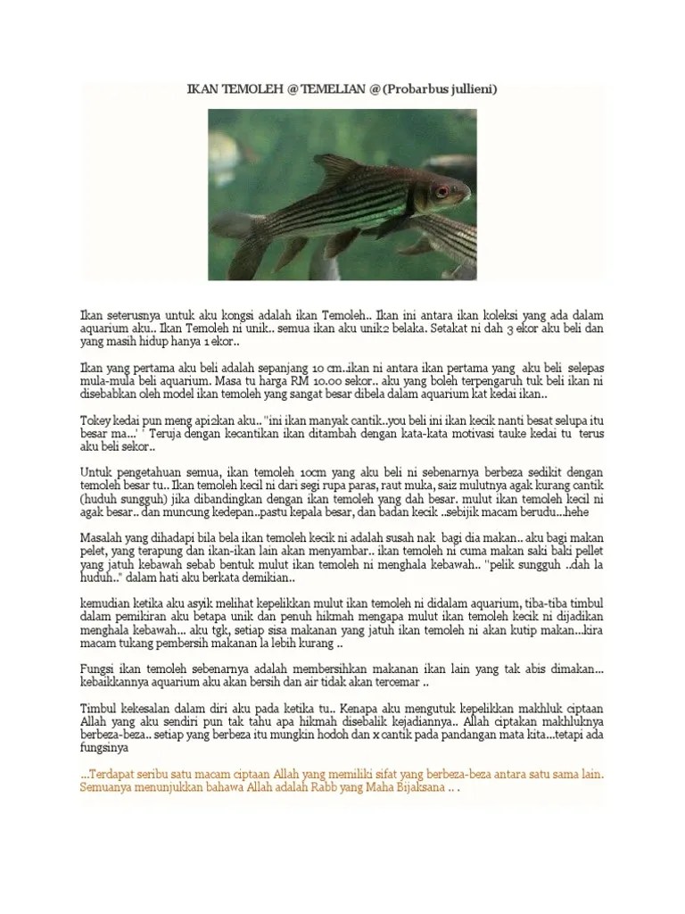 Harga pasaran ikan sungai pahang terkini @ 14.01.2018* 1. Ikan Temoleh Pdf