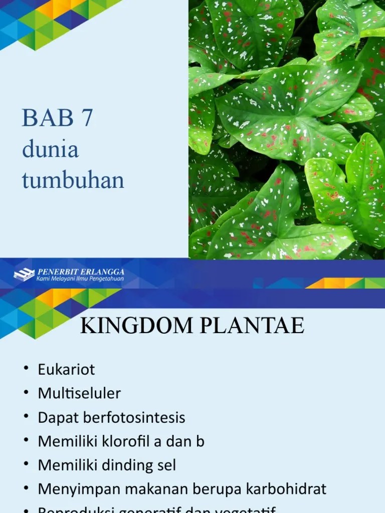 Bab 7 Dunia Tumbuhan (Plantae) (1) | PDF