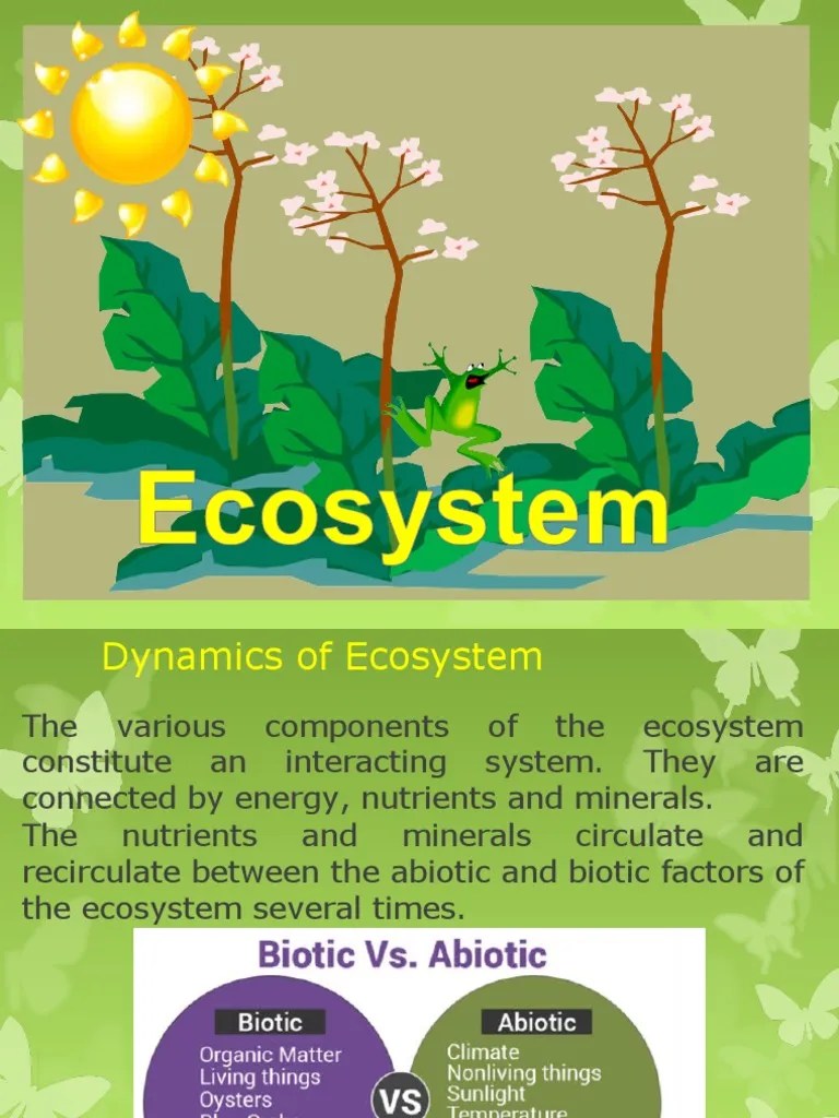 Dynamics Of Ecosystem | PDF | Food Web | Ecosystem