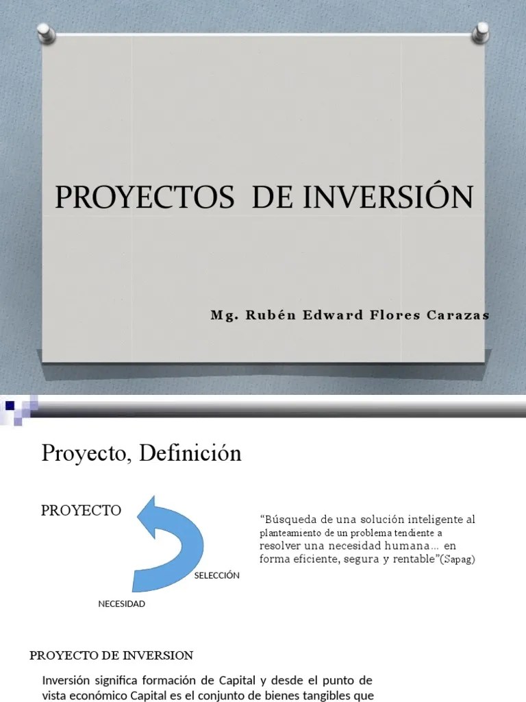 Proyecto De Inversión | PDF | Inversiones | Mercado (economía)