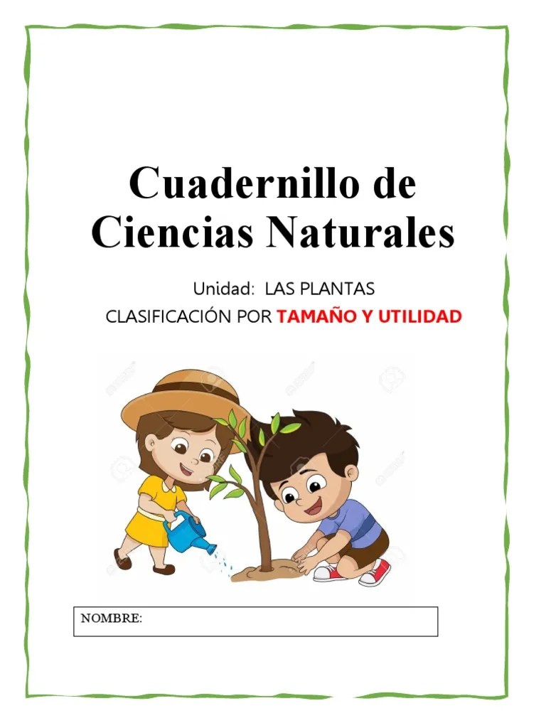 Cuadernillo De Ciencias Naturales Agosto Sept | PDF | Plantas | Arboles