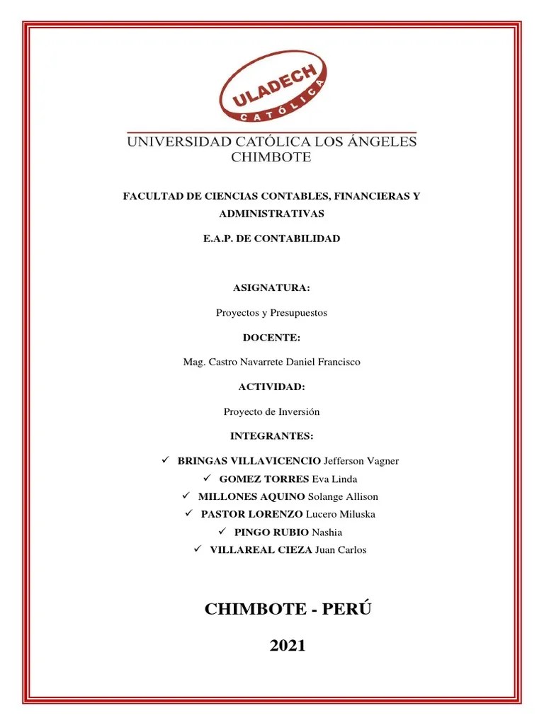 Proyectos De Inversión - Proyectos Y Presupuestos | PDF | Presupuesto | Inversiones