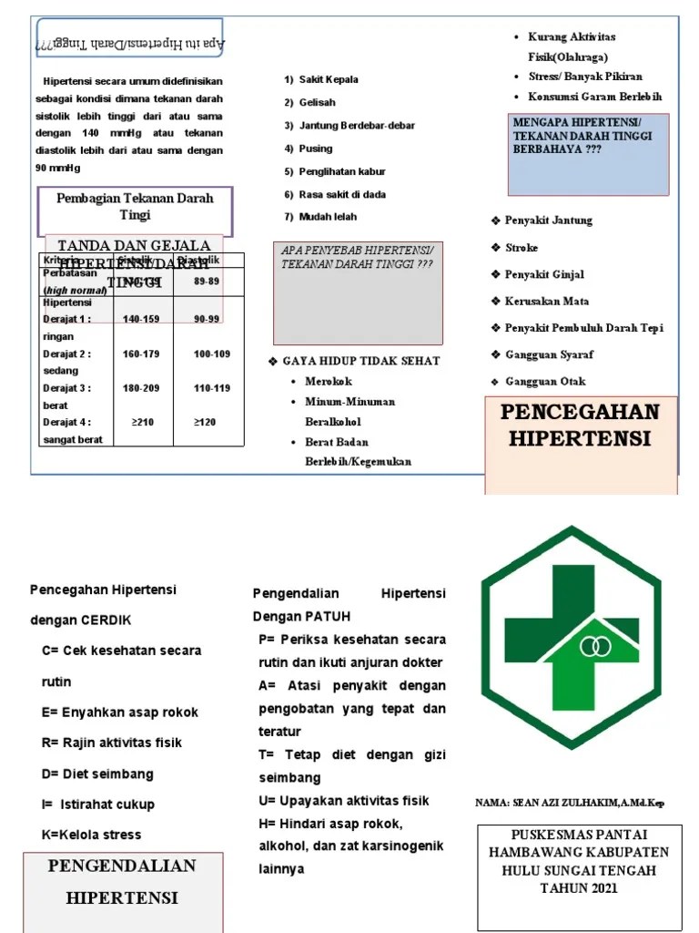 Leaflet Aman Posyandu Lansia | PDF