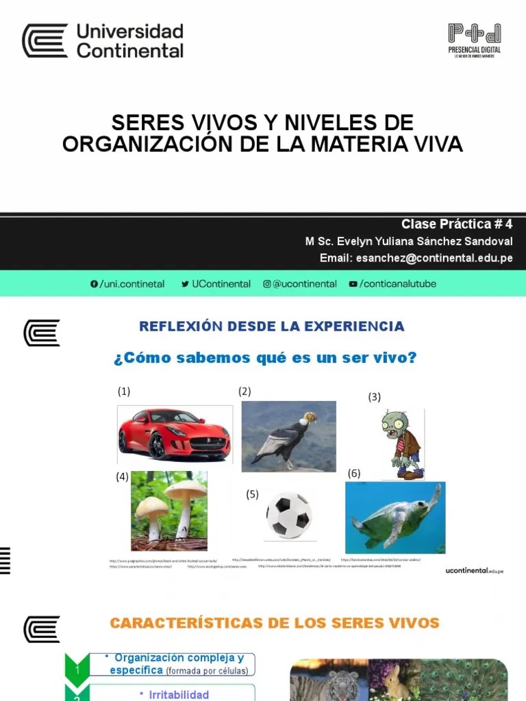 Sesión Práctica 4 - Seres Vivos Y Niveles De Organización | PDF | Reproducción Sexual | Organismos