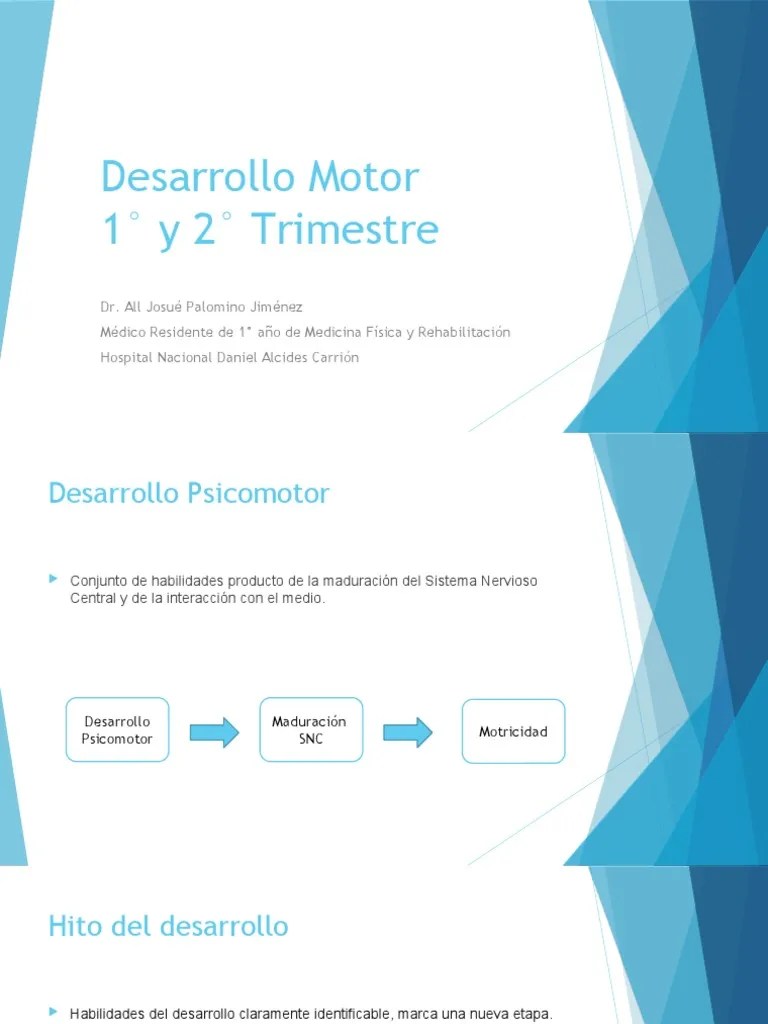 Desarrollo Motor Y Postural En Los Dos Primeros Pdf - Premium Space Image Gallery - Retina