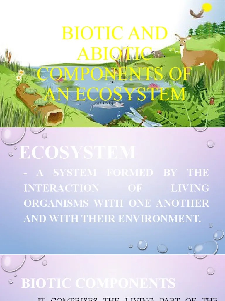 Biotic And Abiotic Components Of An Ecosystem | PDF | Soil | Natural Environment