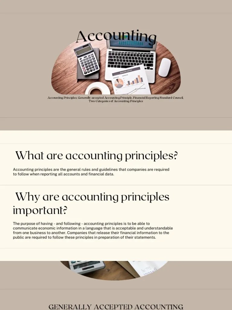 Accounting Principles And Concepts | PDF | International Financial ...