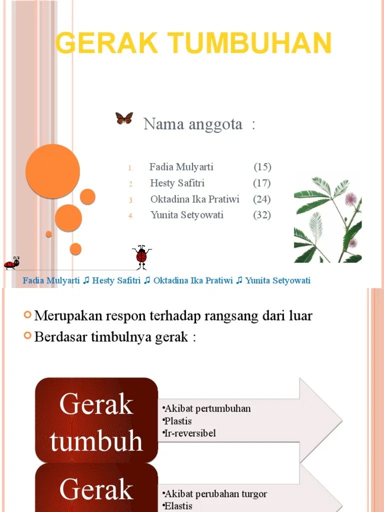 Gerak Pada Tumbuhan Kelompok | PDF