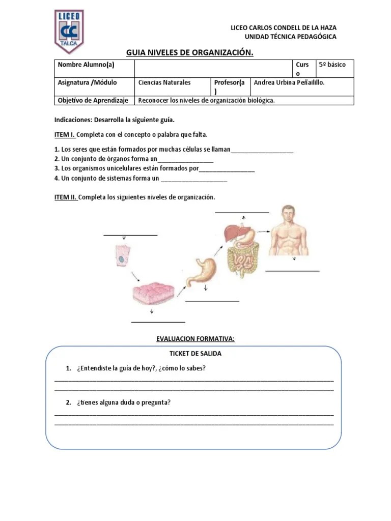 CS Naturales 5° Basico 1 | PDF