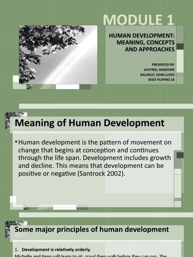 Human Development: Meaning, Concepts And Approaches | PDF | Developmental Psychology | Relationships