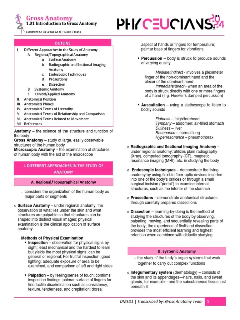 Anatomy 1.01 Introduction To Gross Anatomy | PDF | Anatomical Terms Of Motion | Anatomical Terms ...