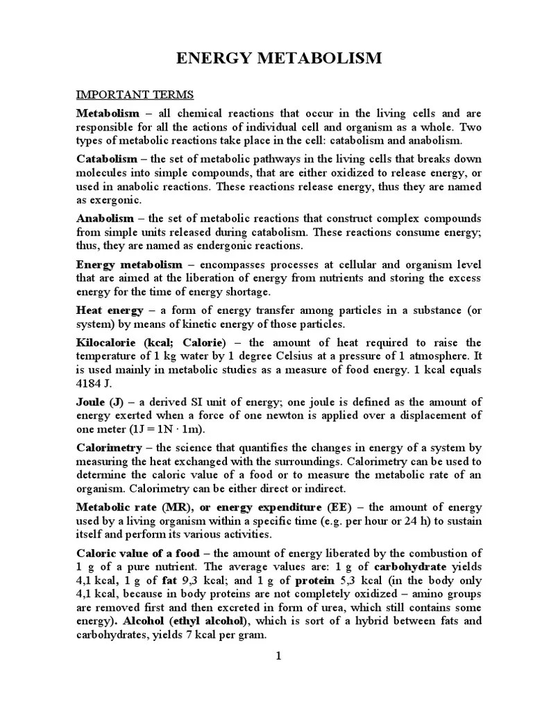 The Metabolic Reprogramming With Different Types Of Metabolism In Download Scientific Diagram - Artistic Abstract Picture - 4K