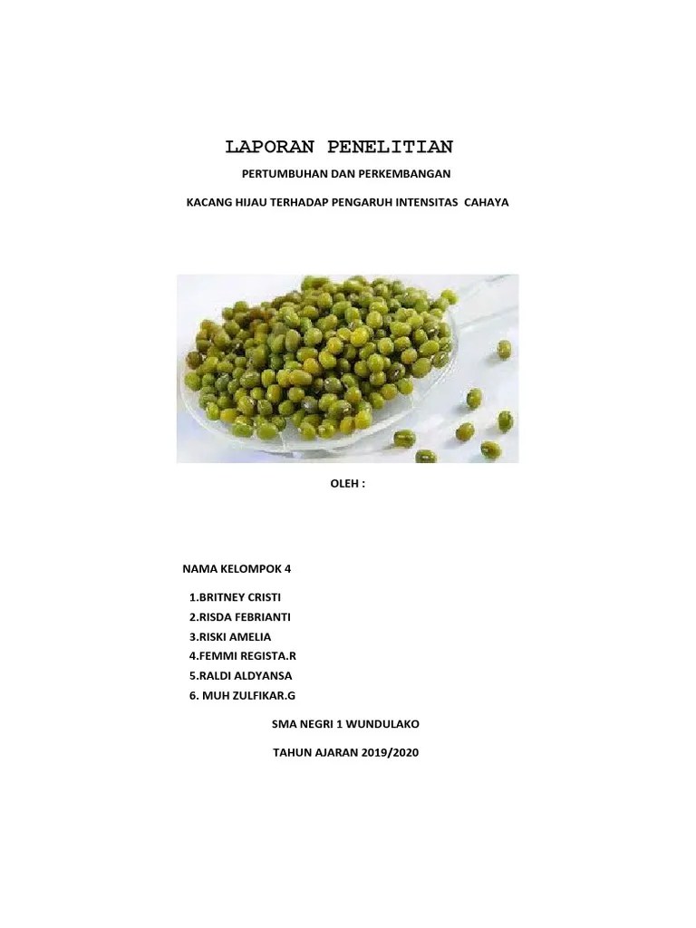 Laporan Pengamatan Kacang Hijau | PDF