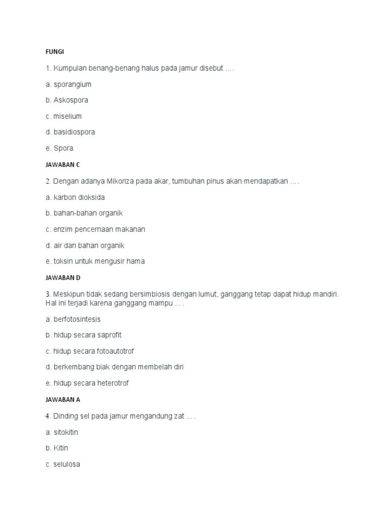 Soal Ujian Kelas 1 2021 | PDF
