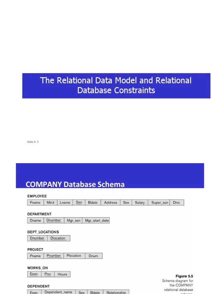 Relational Model-3 | PDF | Relational Database | Information Retrieval