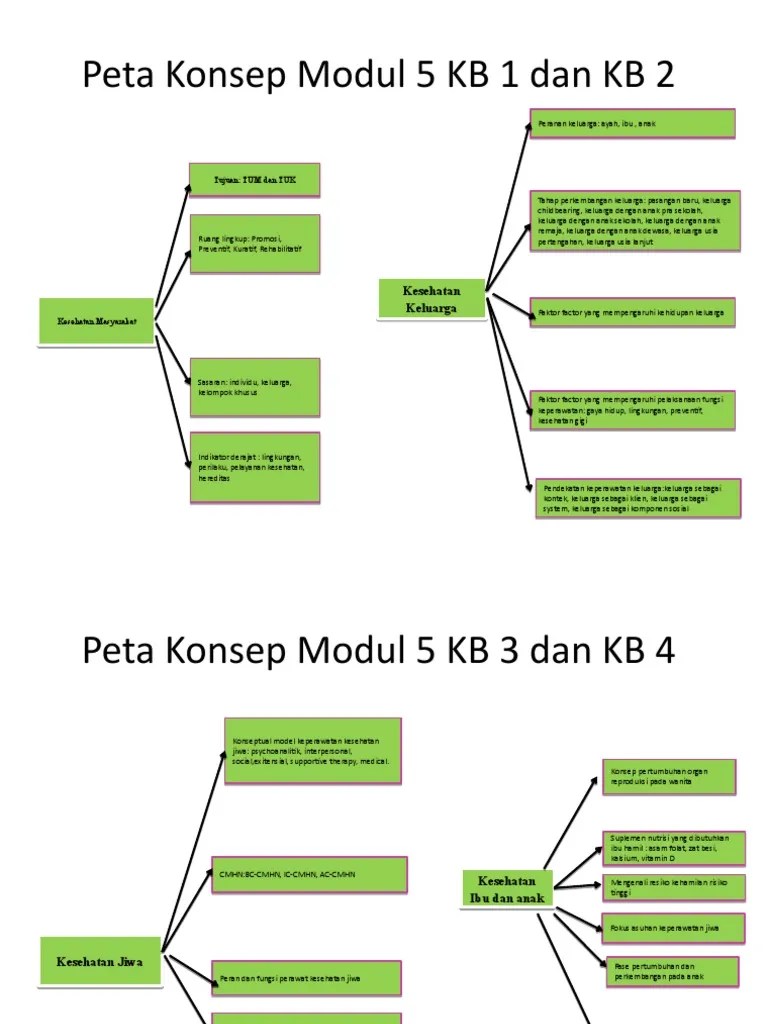 Bagan Peta Konsep Modul 5-Koreksi | PDF