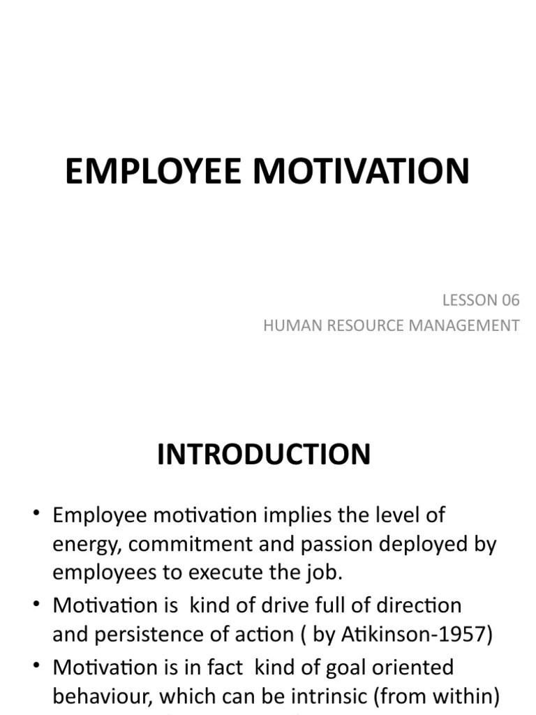 Chapter 06 - Employee Motivation | PDF | Motivational | Motivation