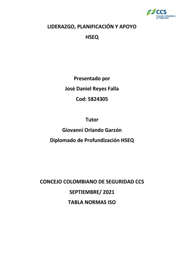 Tarea Liderazgo - Planificacion Y Apoyo | PDF | Planificación | Auditoría