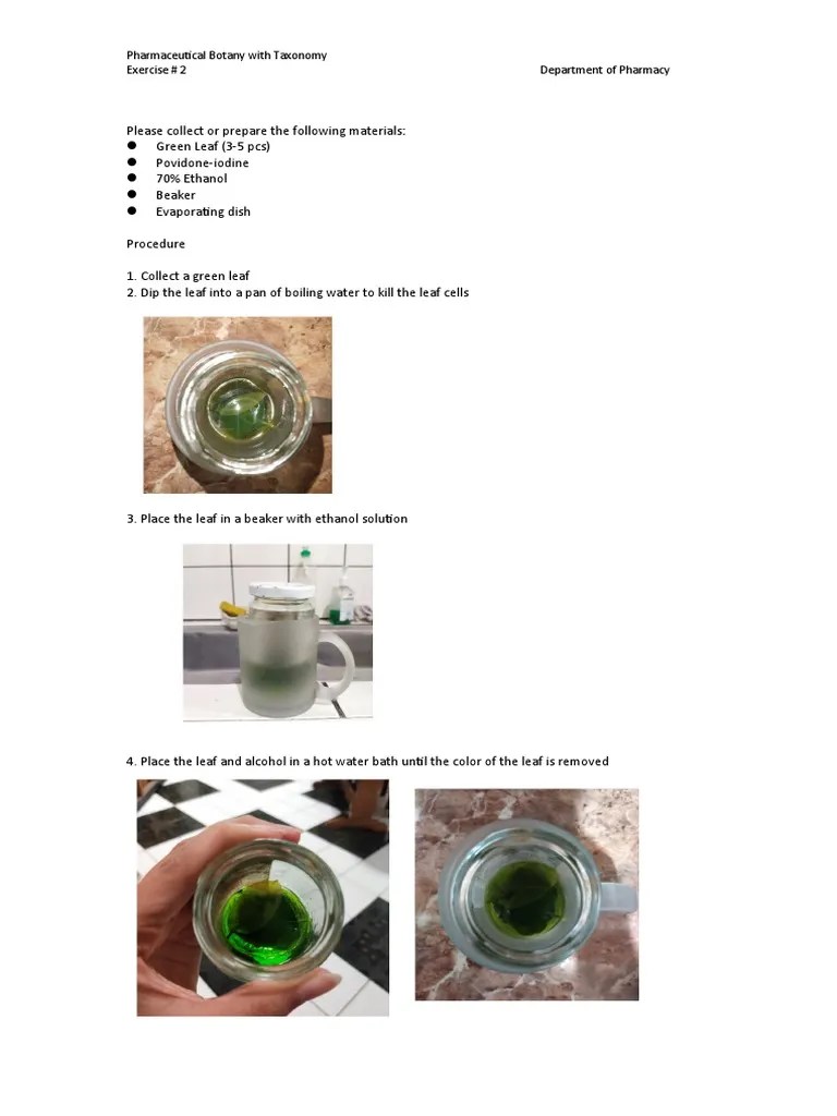 Testing For Starch With Iodine | PDF | Photosynthesis | Chemistry