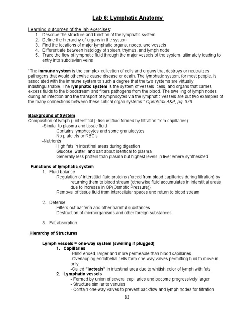 Lab 6: Lymphatic Anatomy: Learning Outcomes Of The Lab Exercises | Download Free PDF | Lymphatic ...