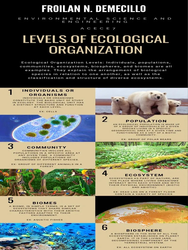Levels Of Ecological Organization | PDF | Ecology | Environmental Science