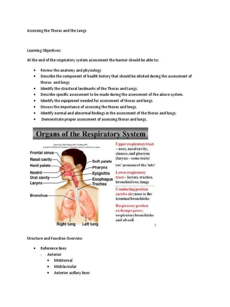 Assessing The Thorax And The Lungs | PDF | Lung | Thorax
