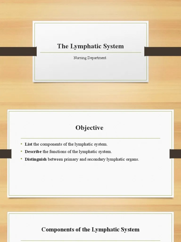 The Lymphatic System | PDF | Lymphatic System | Lymph Node