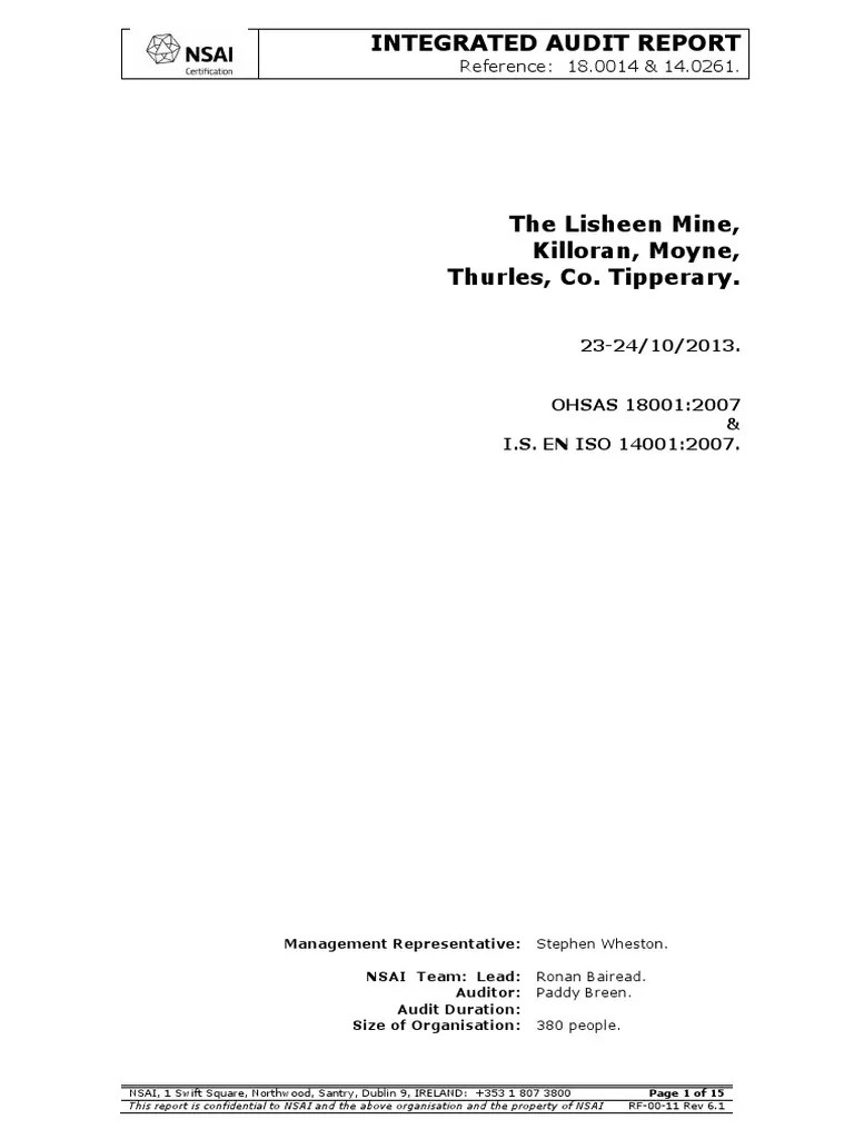 Integrated Audit Report | PDF | Audit | Auditor's Report