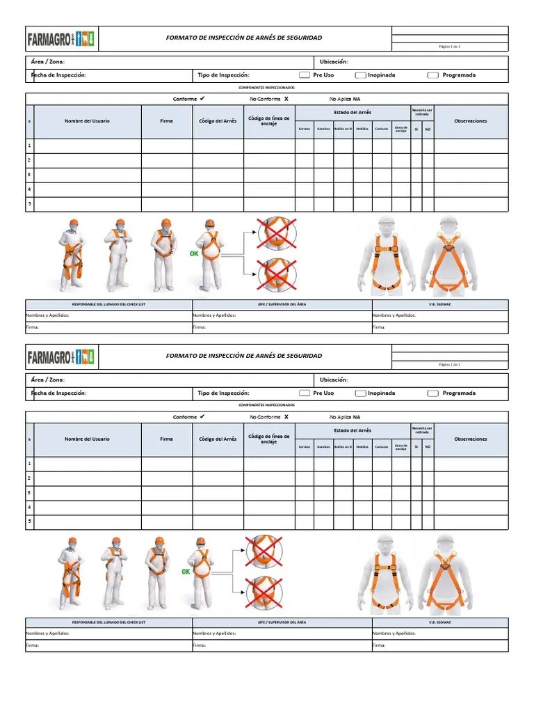 Inspeccion De Arnes - Nuevo Formato | PDF | Informática | Gestión De ...